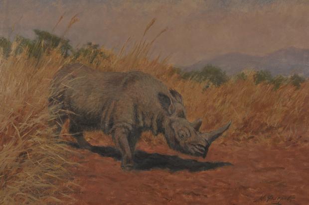image of the Hundsheim rhino
